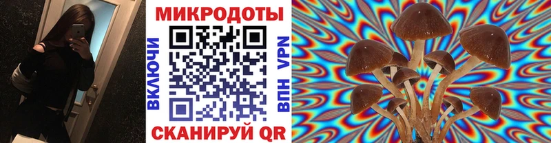 Галлюциногенные грибы Psilocybe  Соликамск 